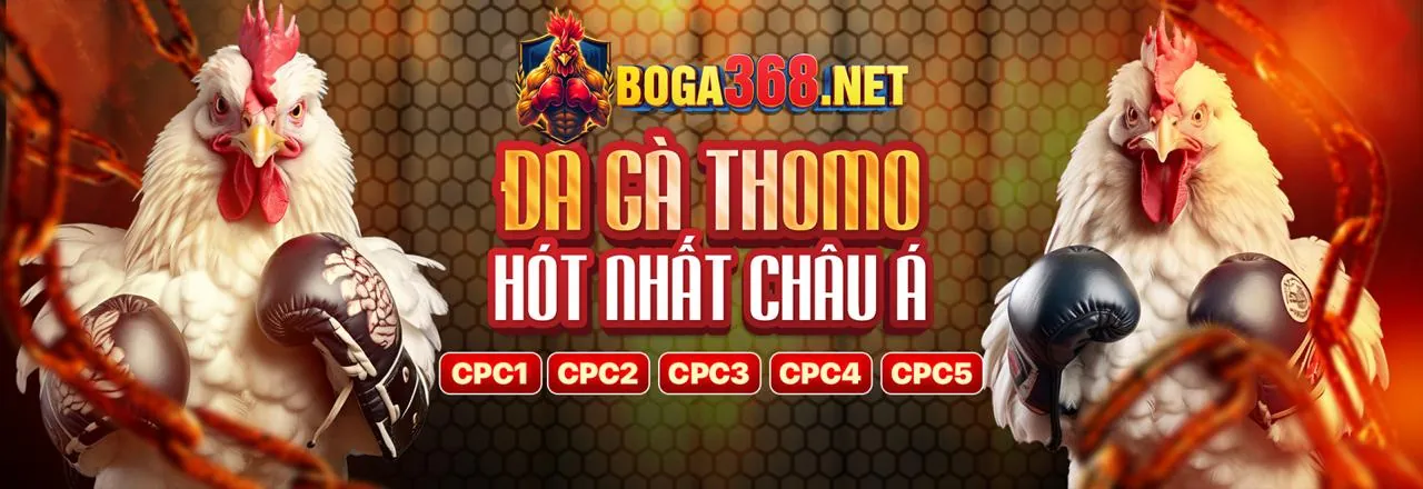 Đánh giá chi tiết nền tảng giải trí trực tuyến hb88 chính thức năm 2024